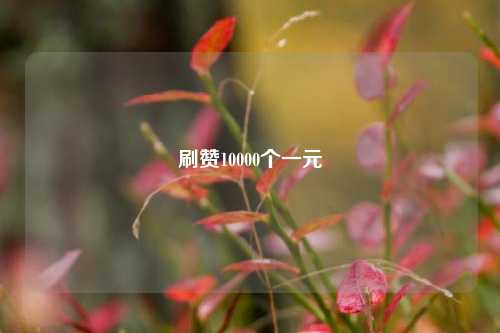 刷赞10000个一元