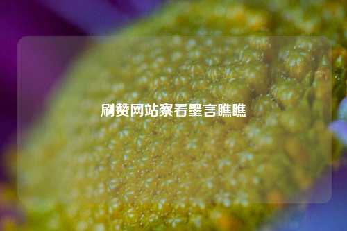 刷赞网站察看墨言瞧瞧
