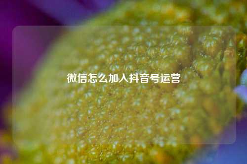 微信怎么加入抖音号运营
