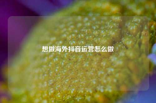 想做海外抖音运营怎么做