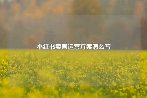 小红书卖画运营方案怎么写