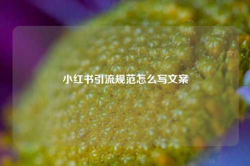 小红书引流规范怎么写文案